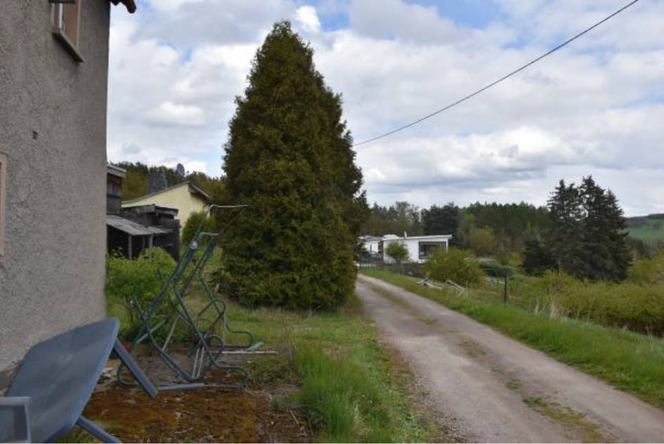 Einfamilienhaus, land- und forstwirtschaftlich genutztes Grundstück in Culitzscher Straße  13, 08144 Hirschfeld, Niedercrinitz - Bild 5