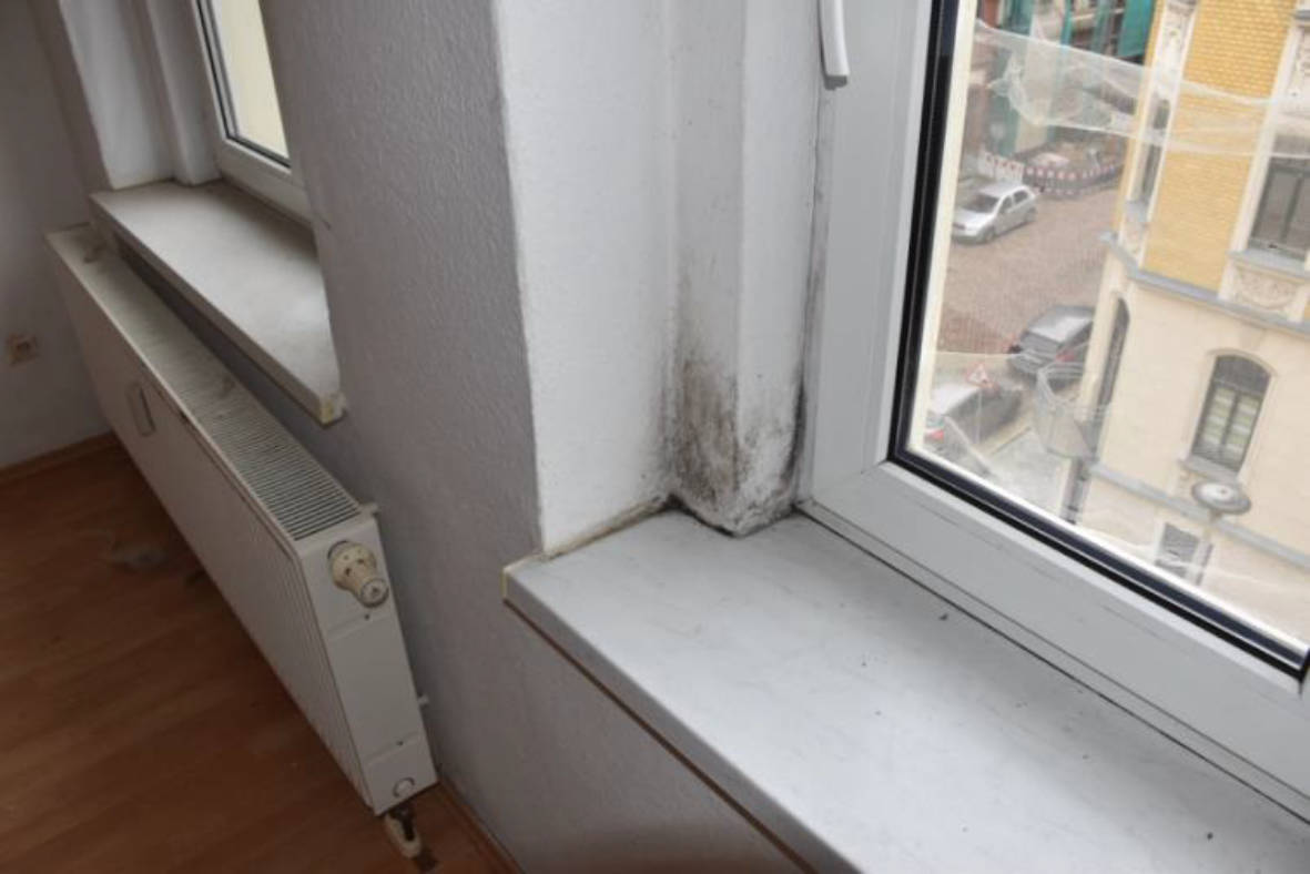 sachsen 0011 K 0156/2023 Moritzstraße  34, 08523 Plauen 8