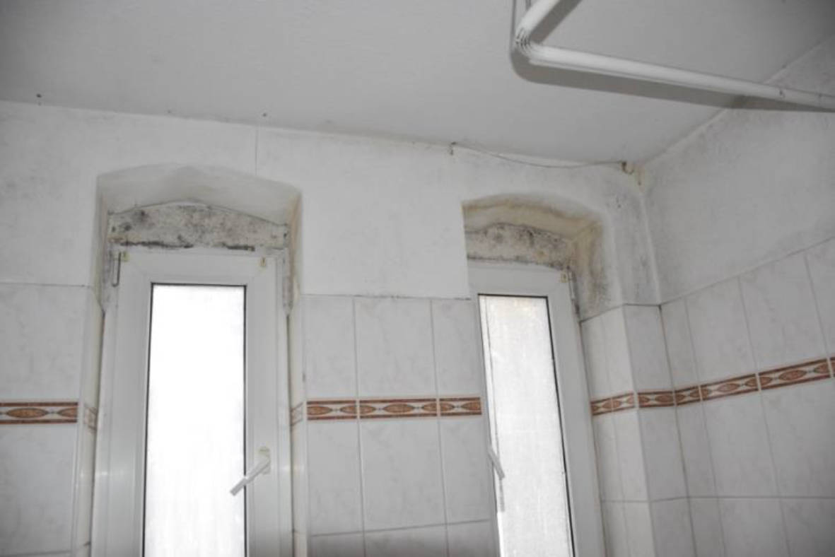 Eigentumswohnung (3 bis 4 Zimmer), Wohnung 7 samt Abstellraum im Kellergeschoss in Moritzstraße  34, 08523 Plauen - Bild 5