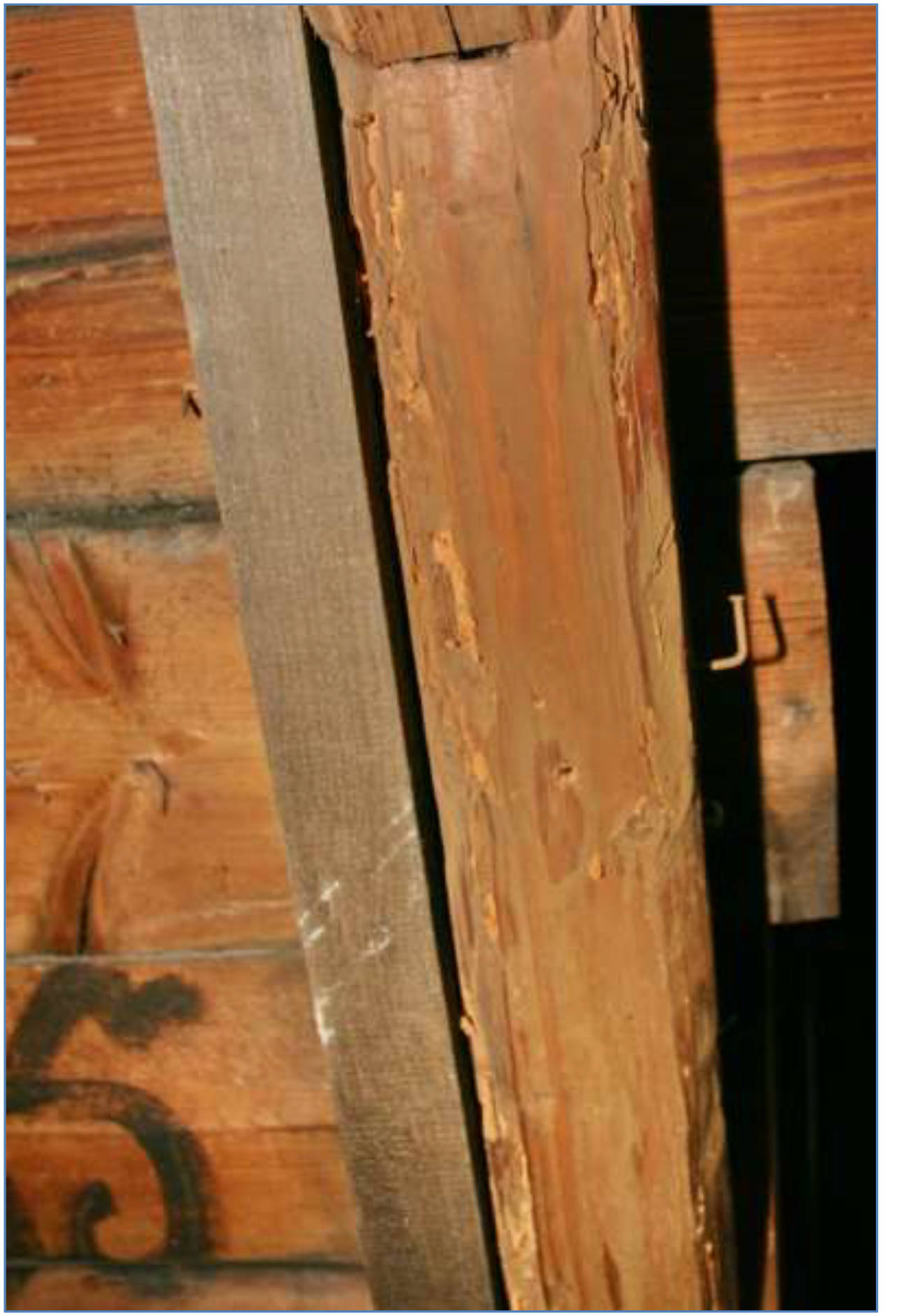 sachsen 0011 K 0187/2023 St. Jacober Nebenstraße 129, 08132 Mülsen 22