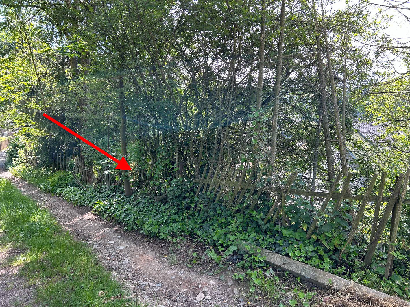 sachsen 0015 K 0065/2024 Bergstraße 9, 09235 Burkhardtsdorf 9