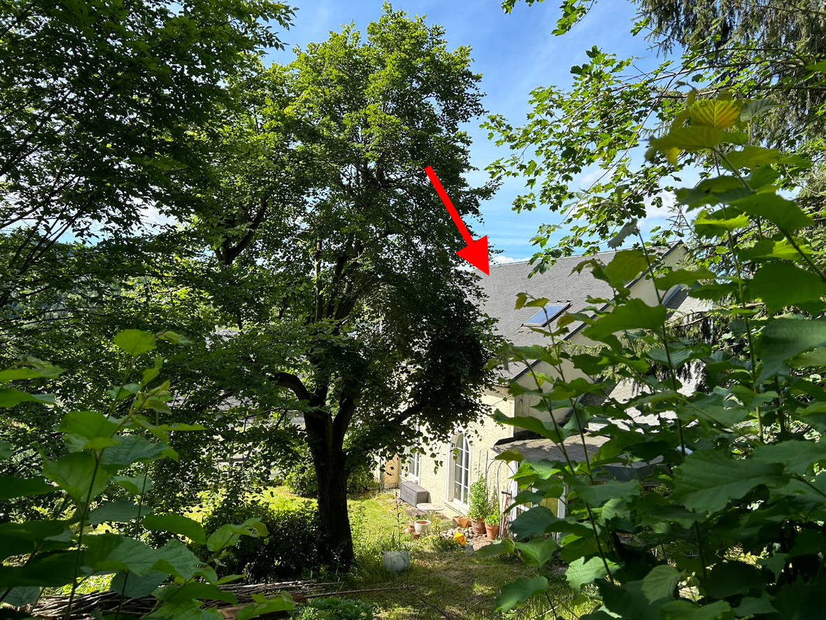 sachsen 0015 K 0065/2024 Bergstraße 9, 09235 Burkhardtsdorf 8