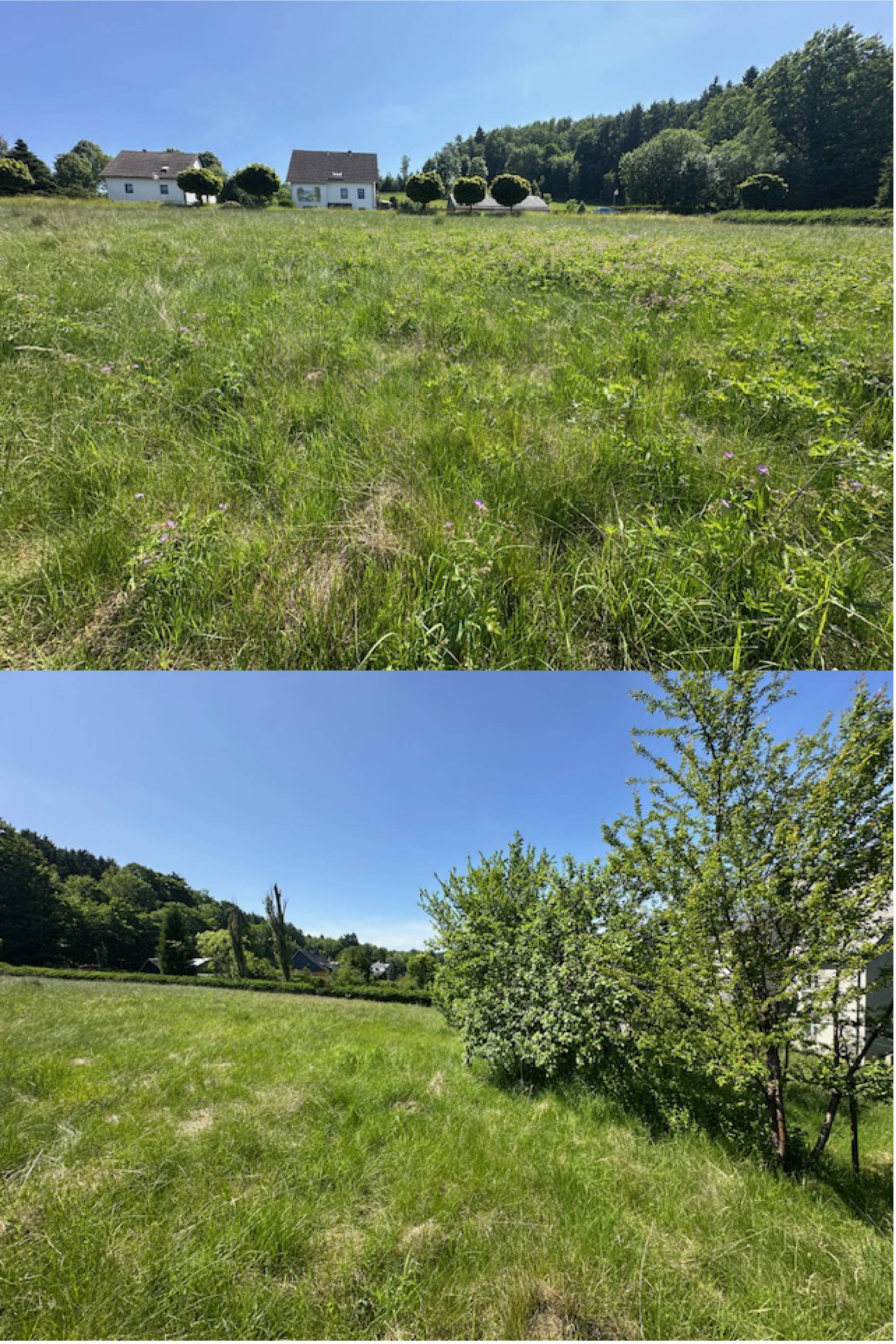 unbebautes Grundstück in ., 09477 Thermalbad Wiesenbad - Bild 2