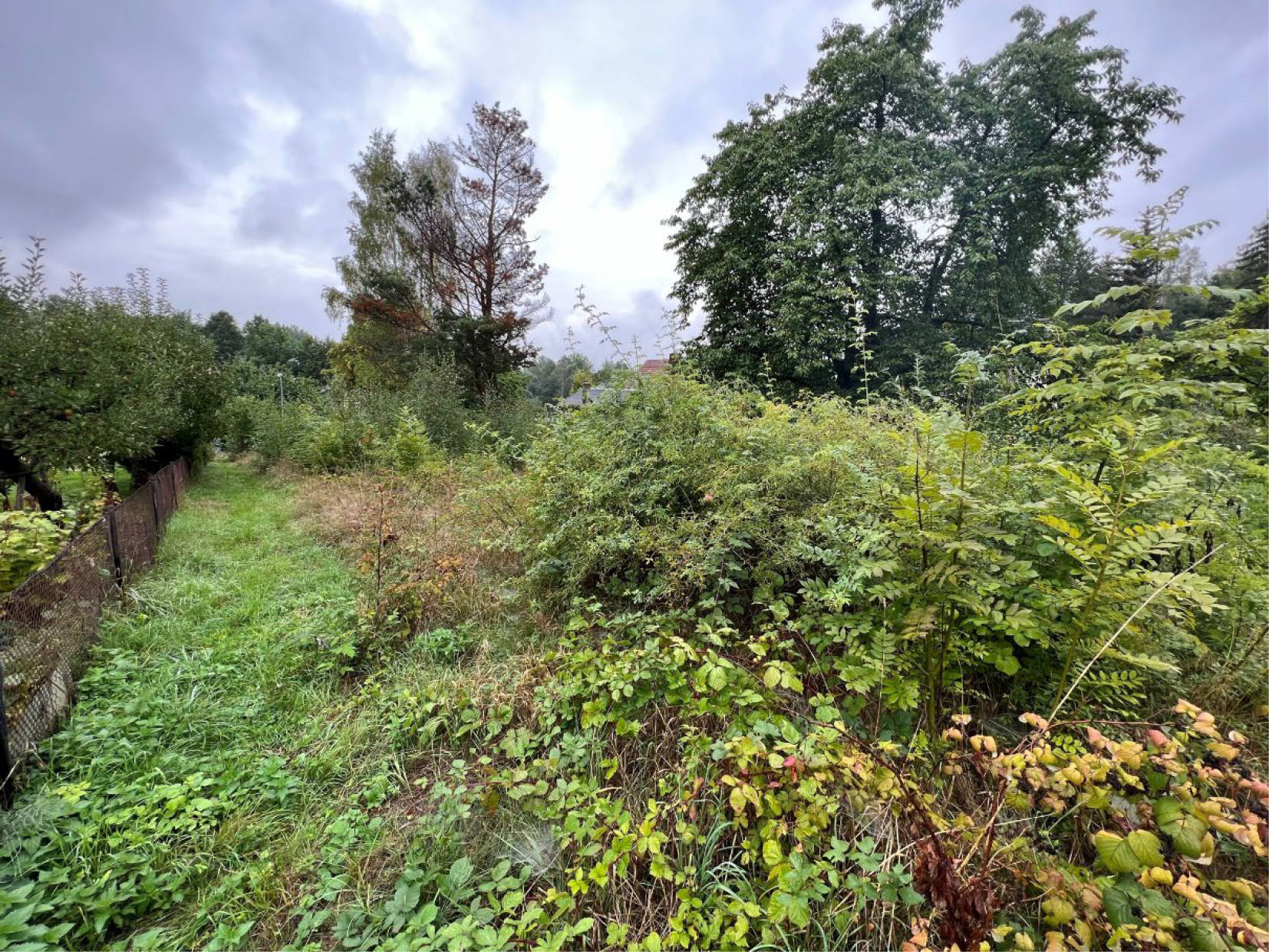 sachsen 0023K0442-2020 Burkhardtsdorfer Straße zw. Hausnr. 6e und 6f, 09123 Chemnitz 7