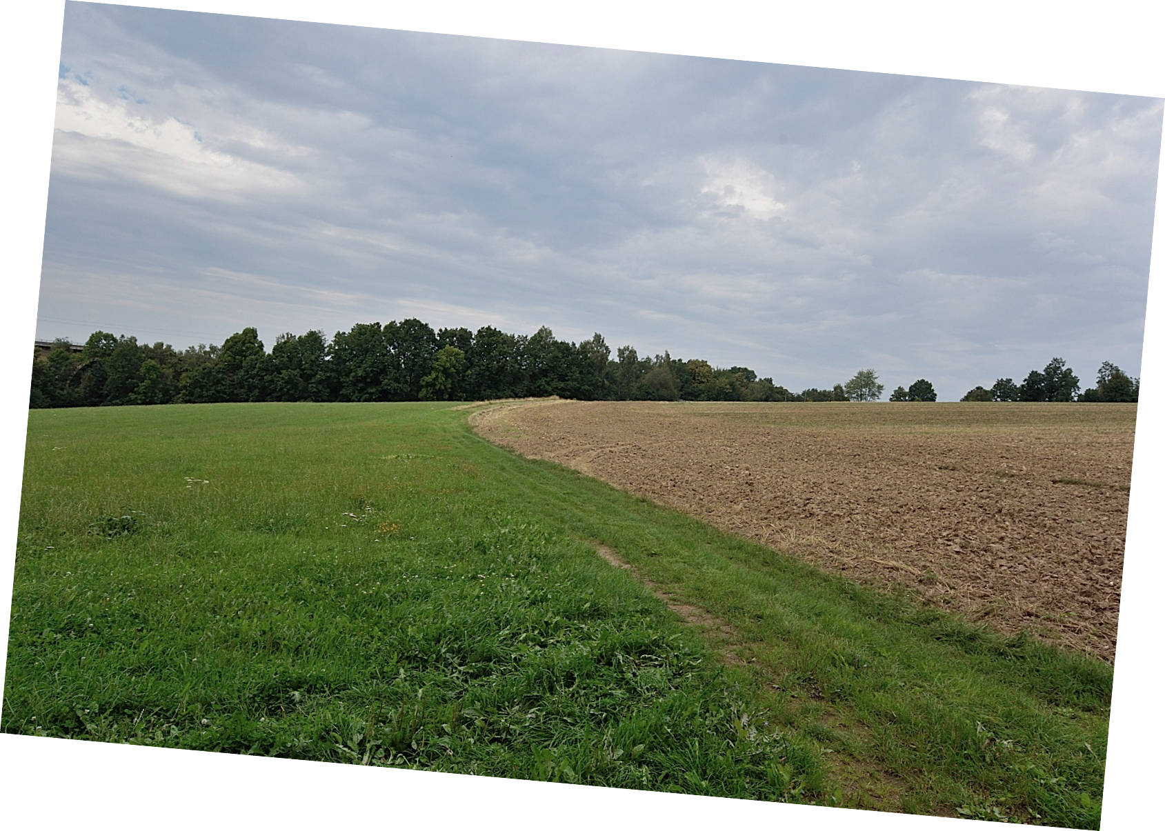 land- und forstwirtschaftlich genutztes Grundstück in Dorfstraße  2, 09600 Oberschöna - Bild 2