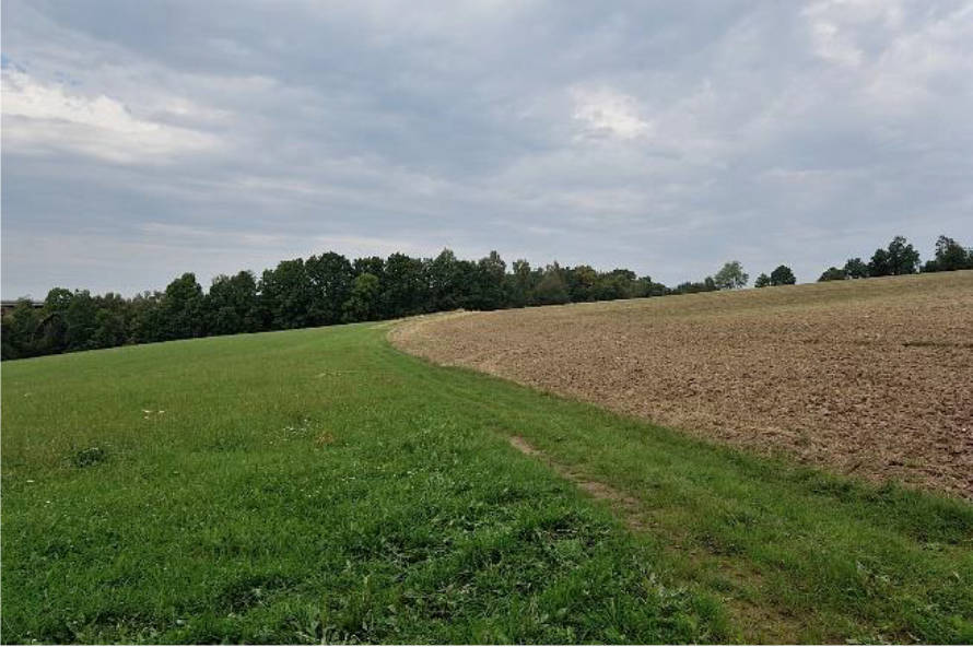 land- und forstwirtschaftlich genutztes Grundstück in Dorfstraße  2, 09600 Oberschöna