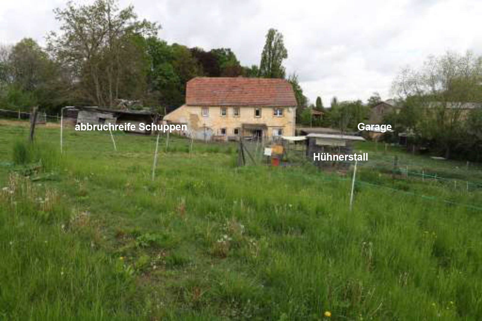 Einfamilienhaus in Goldhausener Straße  6, 04749 Ostrau - Bild 5