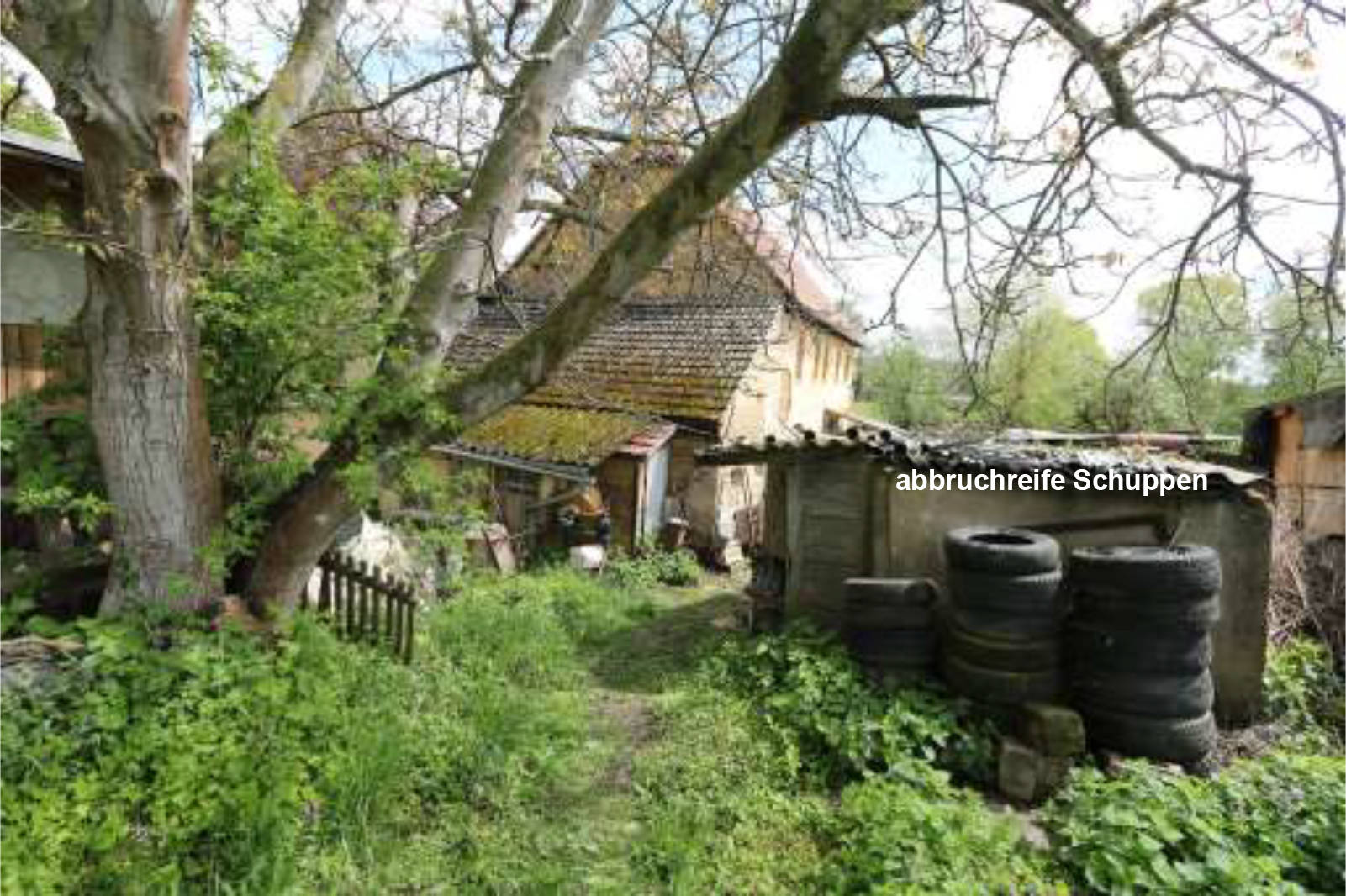 sachsen 0024K0494-2020 Goldhausener Straße  6, 04749 Ostrau 9