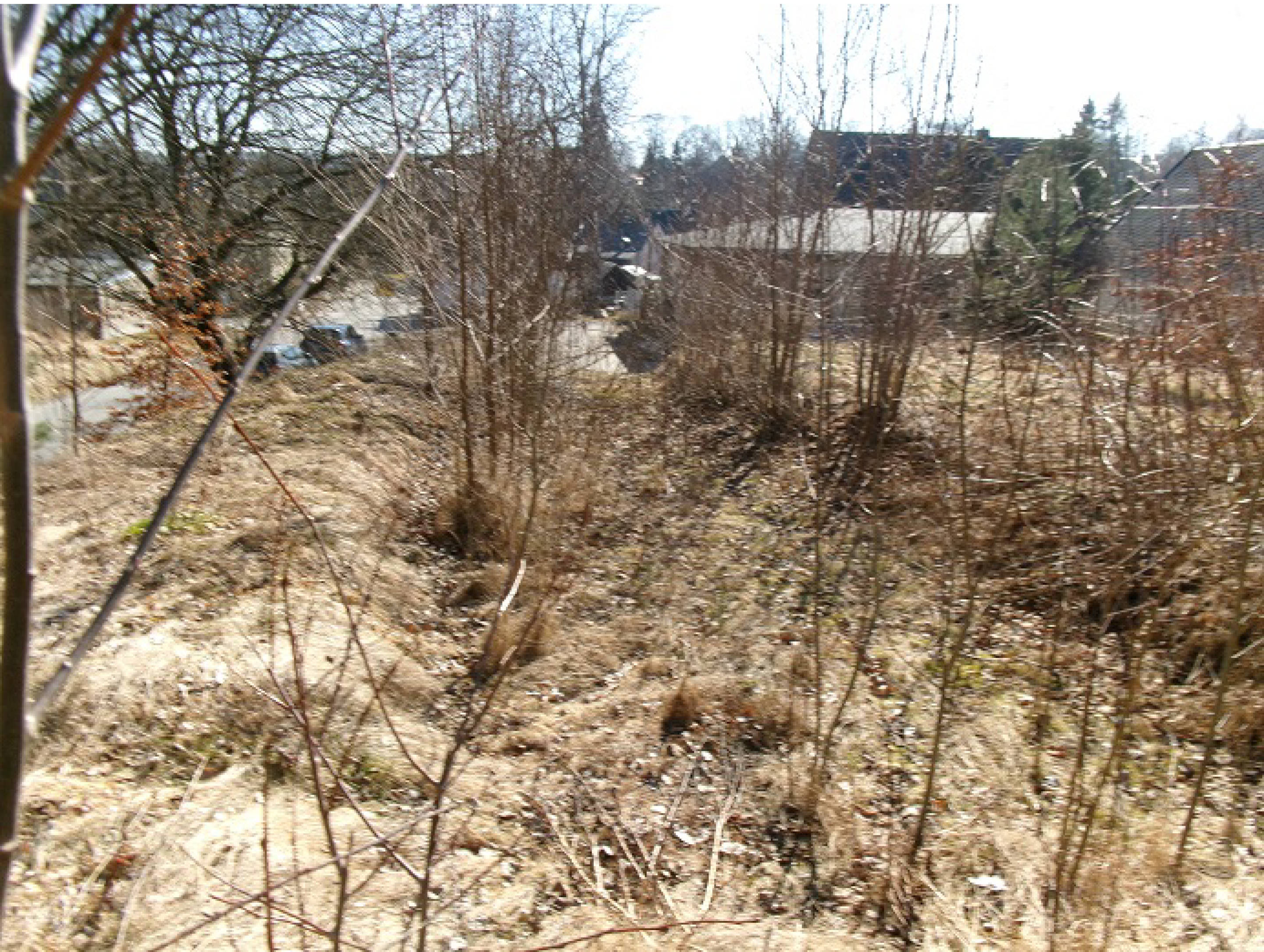 sachsen 0027 K 0103/2024 Elterleiner Straße, 09487 Schlettau 10