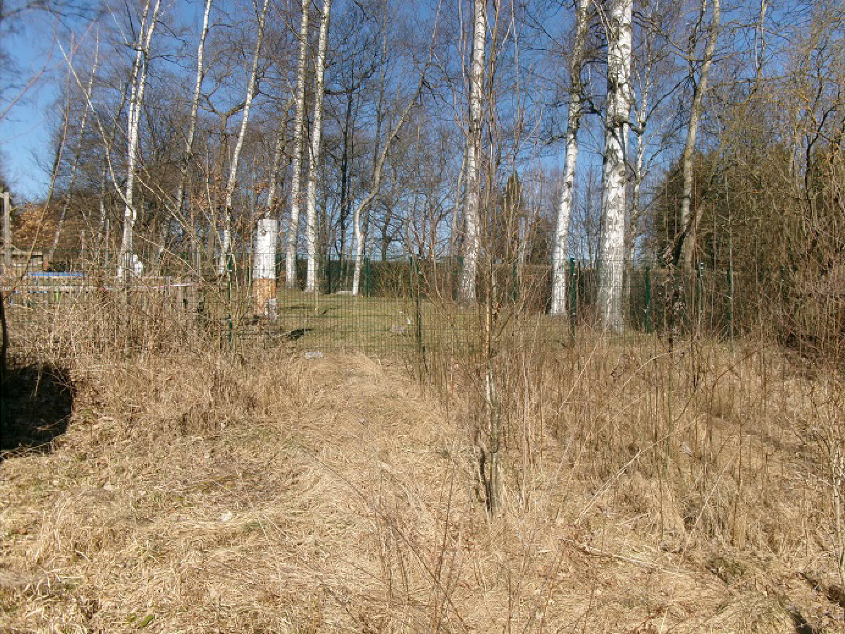 sachsen 0027 K 0103/2024 Elterleiner Straße, 09487 Schlettau 7