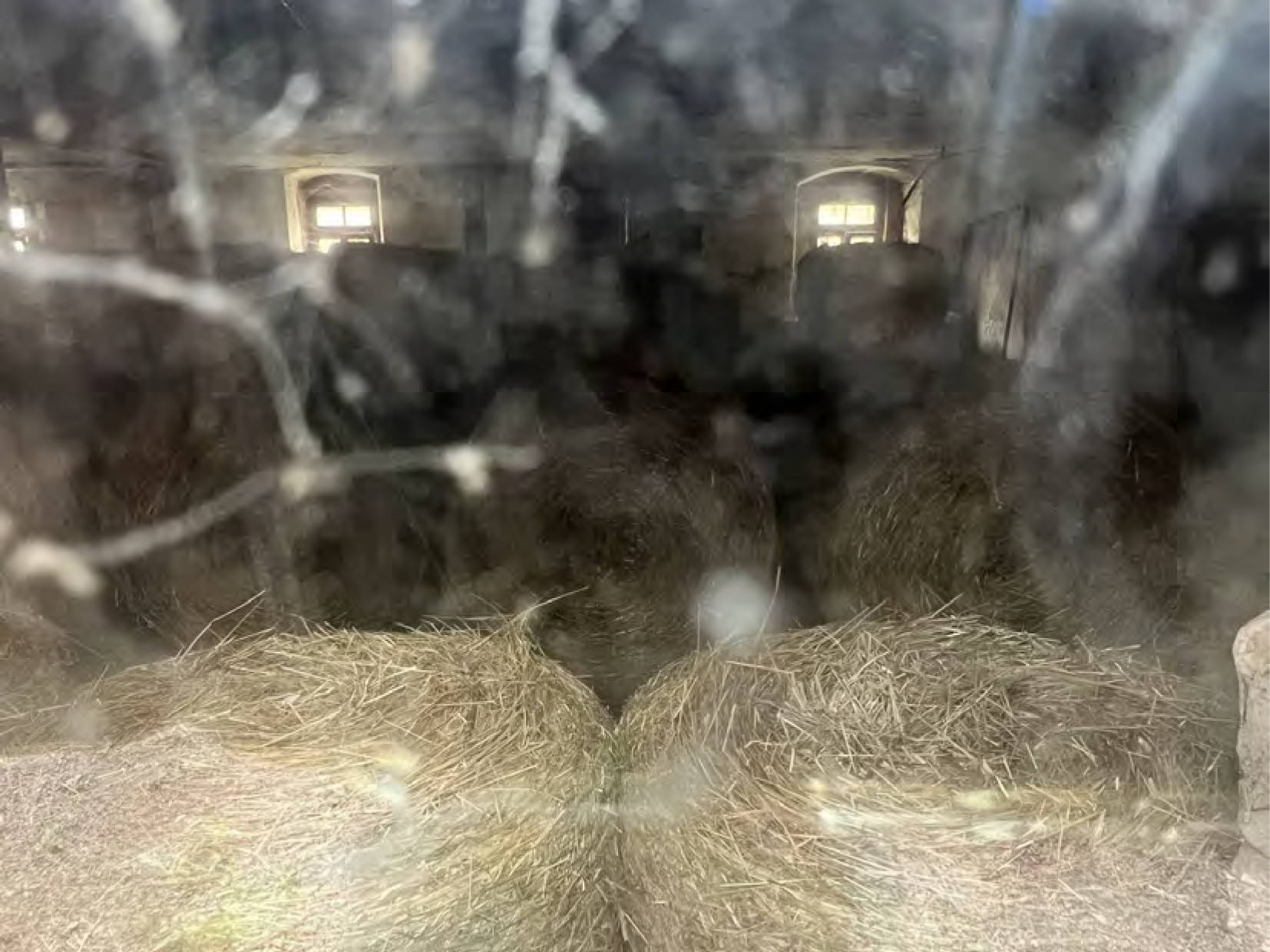 sachsen 0027 K 0138/2023 Am Rittergut 5, 6, 09629 Reinsberg, OT Bieberstein 11