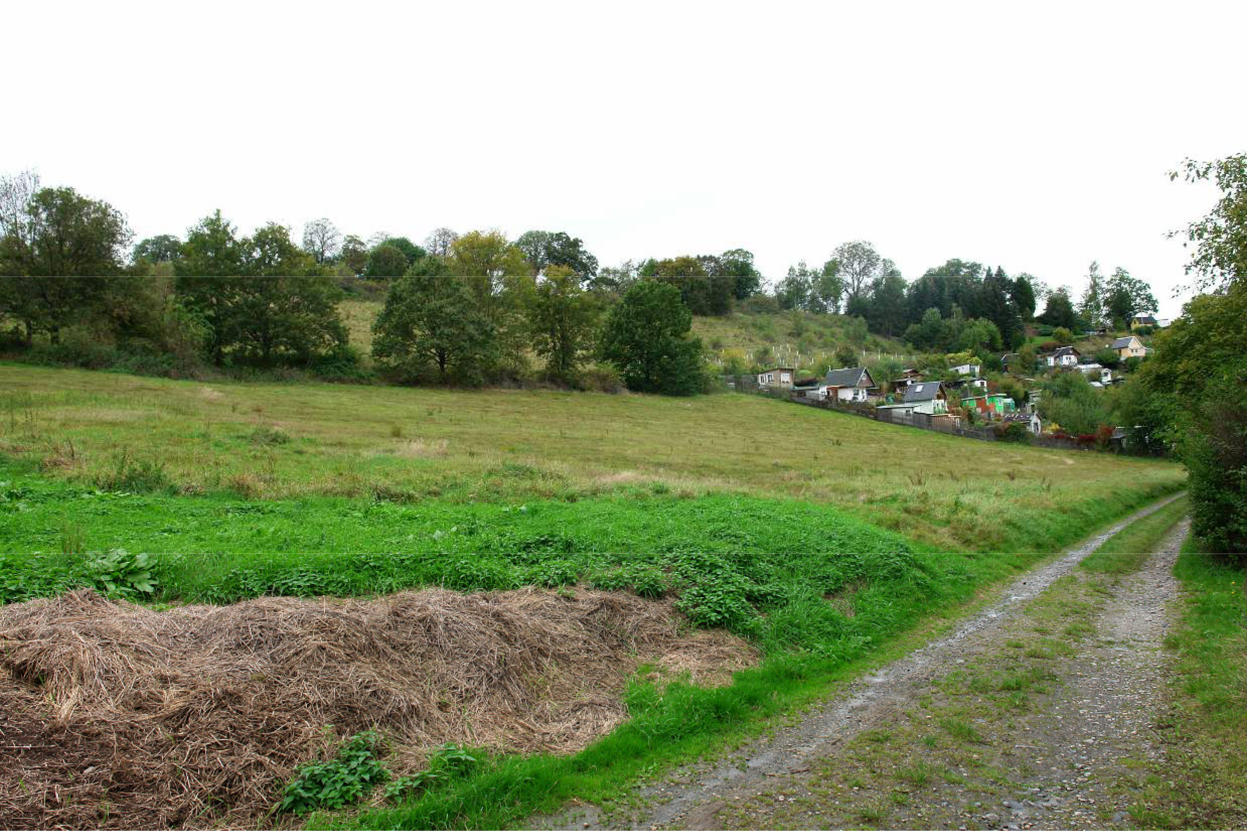 unbebautes Grundstück in ohne Straßennamen, 08315 Lauter-Bernsbach - Bild 2