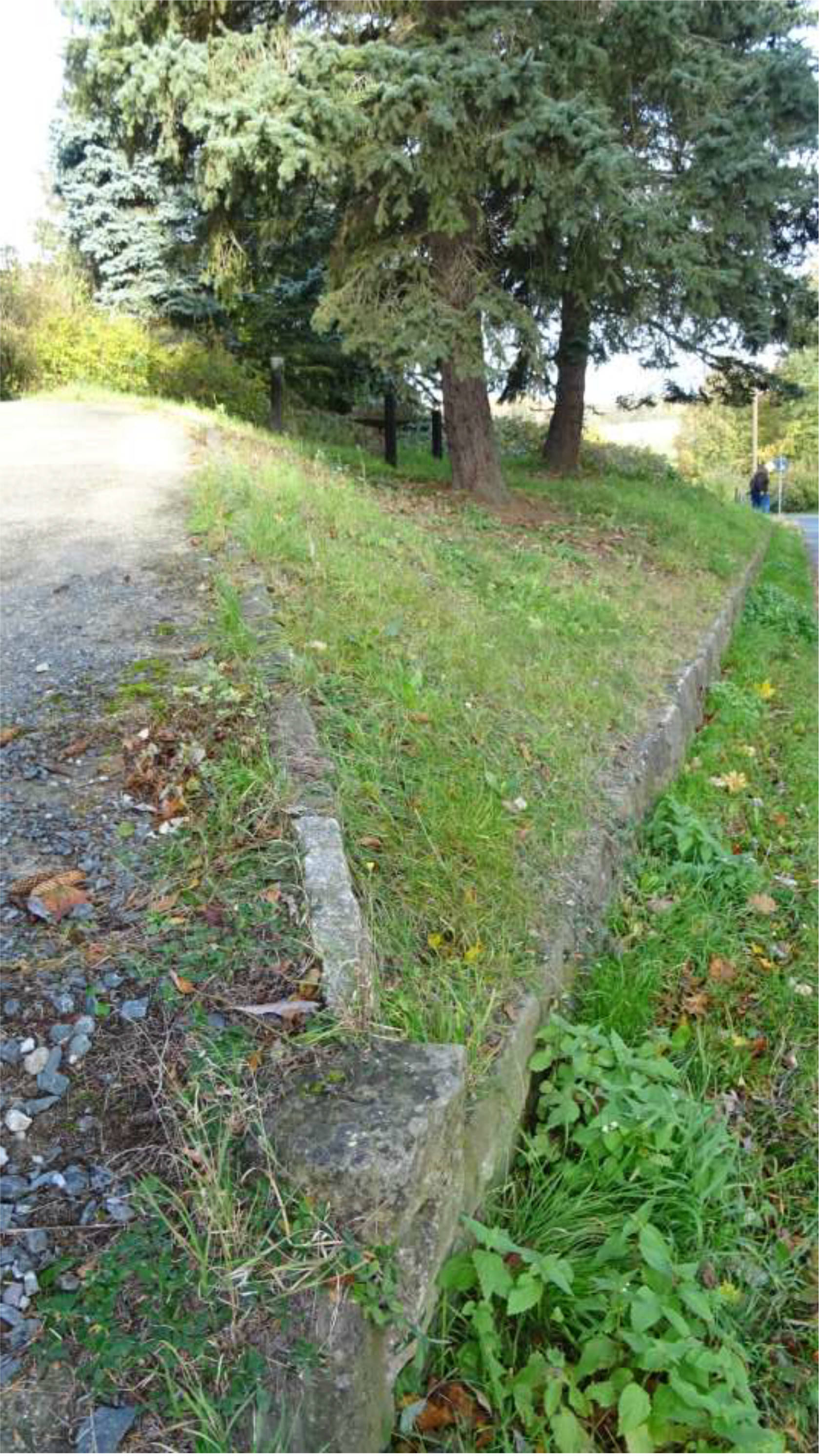unbebautes Grundstück in , 01819 Bahretal - Bild 4