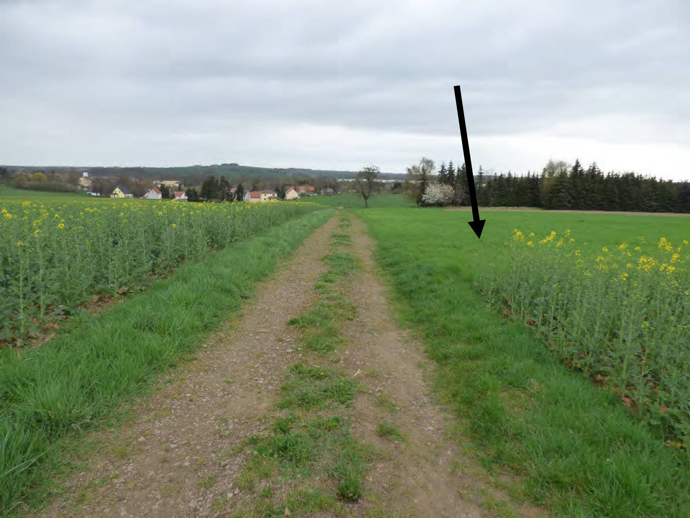 sachsen 0520K0002-2024 Gemarkung Starbach, keine Straße, 01683 Nossen