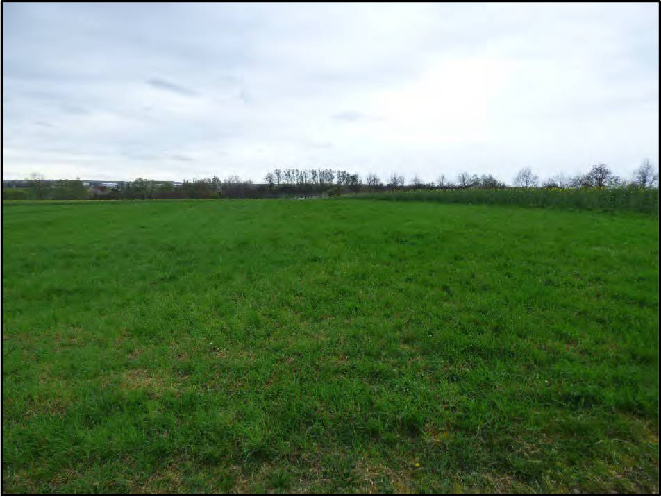 sachsen 0520K0002-2024 Gemarkung Starbach, keine Straße, 01683 Nossen