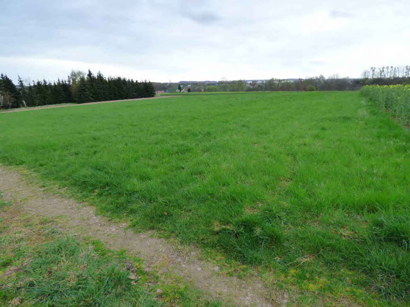 sachsen 0520K0002-2024 Gemarkung Starbach, keine Straße, 01683 Nossen