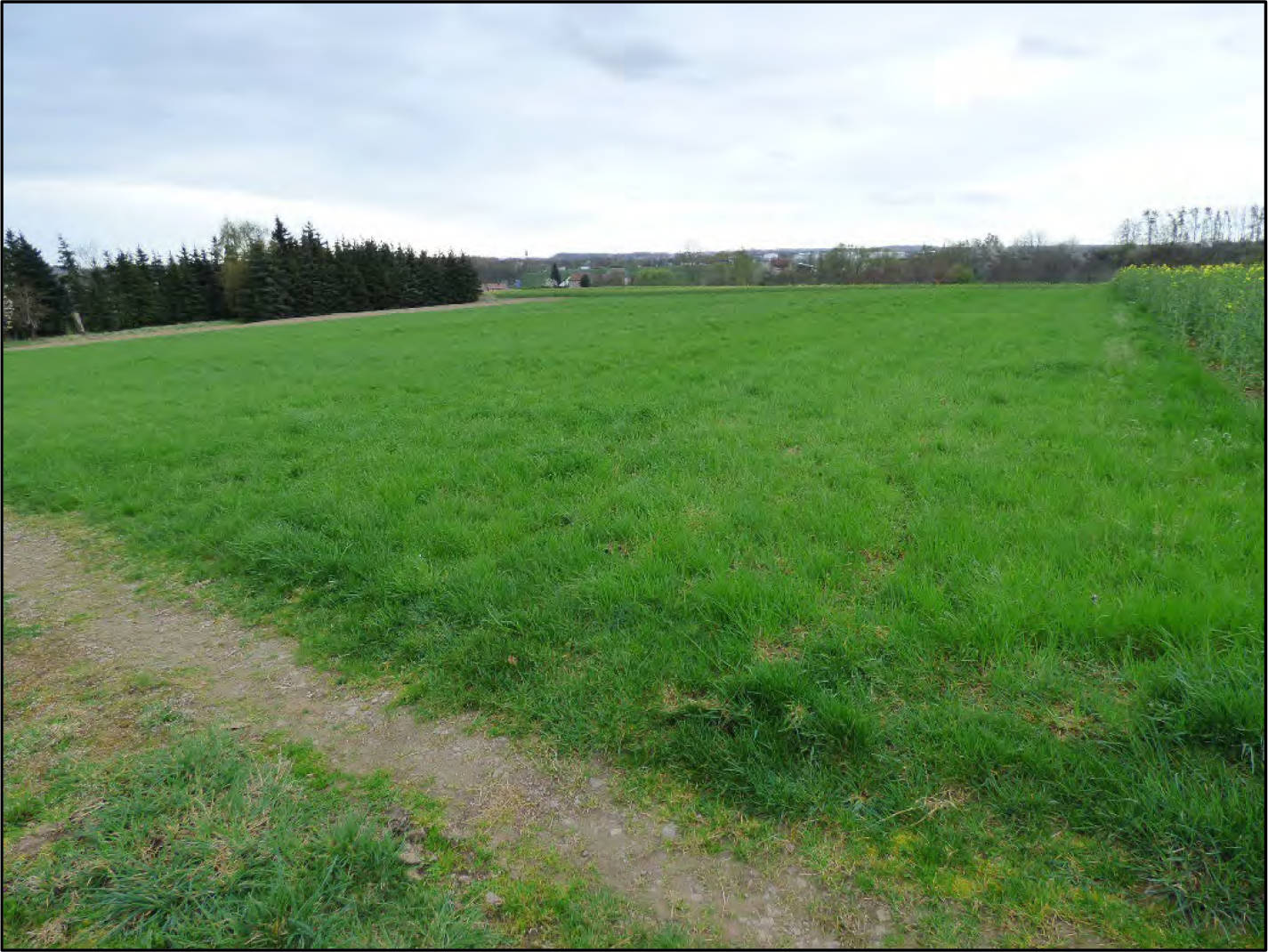 sachsen 0520K0002-2024 Gemarkung Starbach, keine Straße, 01683 Nossen