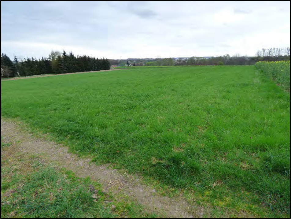 sachsen 0520K0002-2024 Gemarkung Starbach, keine Straße, 01683 Nossen