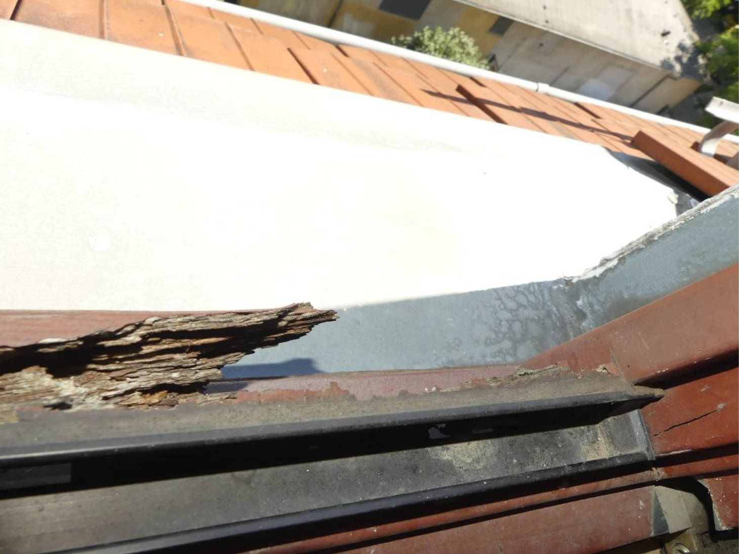 sachsen 0520 K 0014/2024 Wachsbleichstraße  27, 01067 Dresden 9