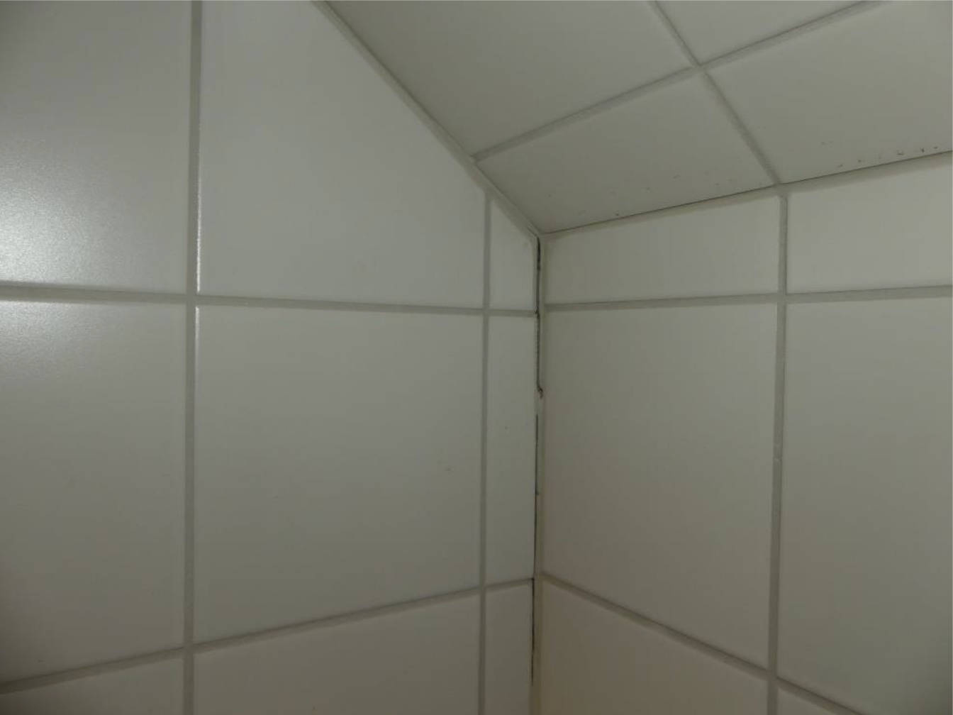 sachsen 0520 K 0014/2024 Wachsbleichstraße  27, 01067 Dresden 23