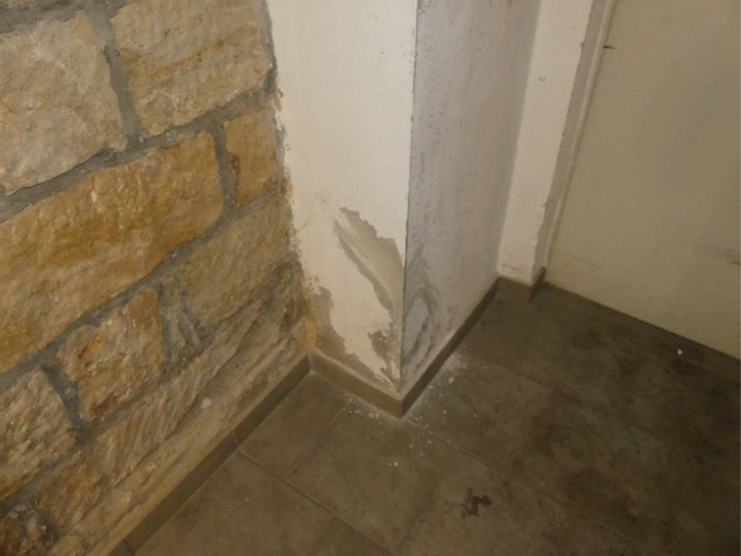 sachsen 0520 K 0014/2024 Wachsbleichstraße  27, 01067 Dresden 8