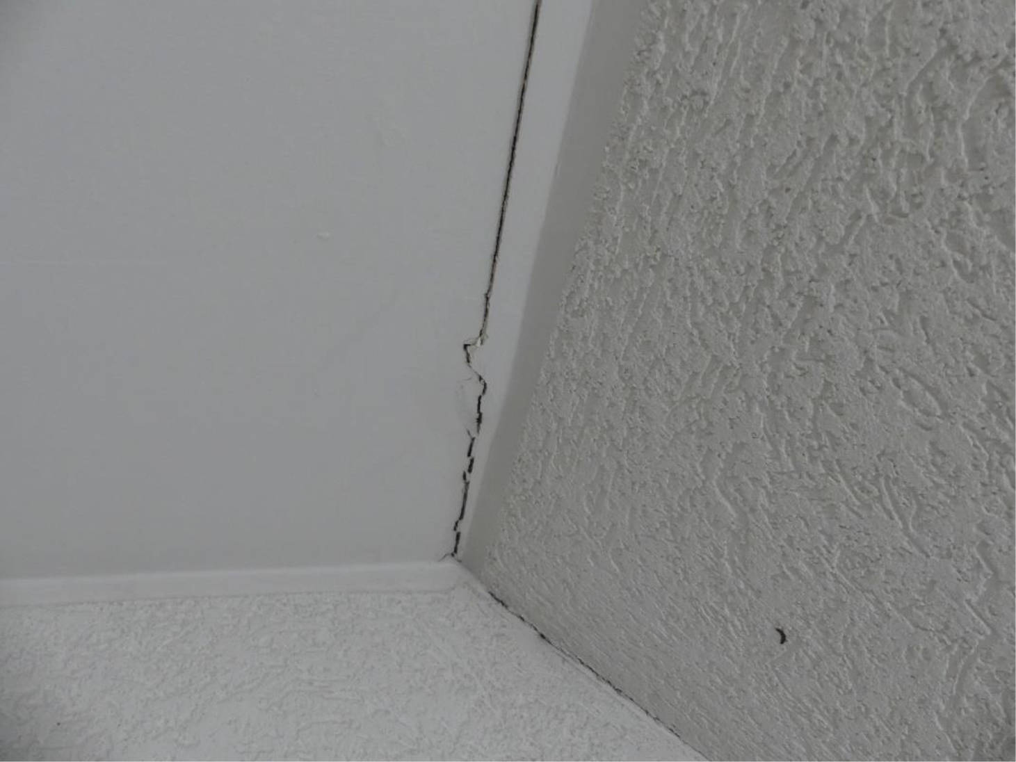 sachsen 0520 K 0014/2024 Wachsbleichstraße  27, 01067 Dresden 22