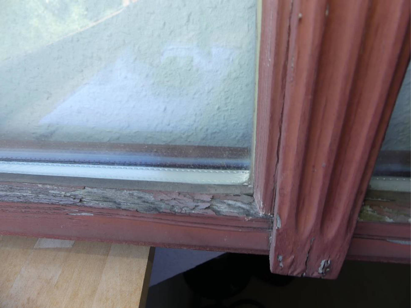 sachsen 0520 K 0014/2024 Wachsbleichstraße  27, 01067 Dresden 20