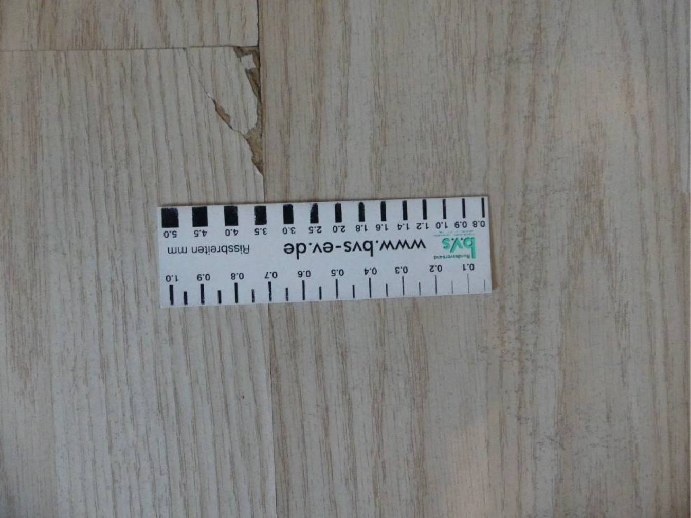 sachsen 0520 K 0014/2024 Wachsbleichstraße  27, 01067 Dresden 12