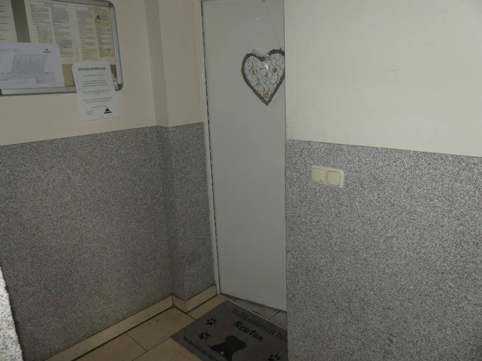 sachsen 0520 K 0015/2024 Sternstraße  28, 01139 Dresden 8