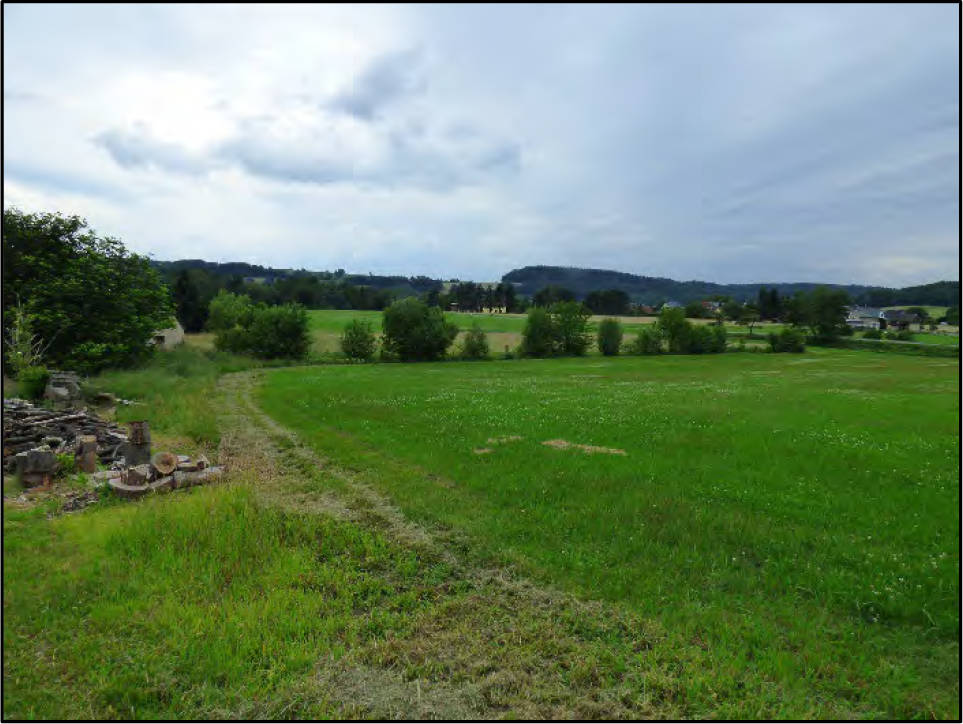 land- und forstwirtschaftlich genutztes Grundstück, Grünland in ohne Straße/südlich des Ortes an einem Feldweg/Am Kohlberg, 01824 Rosenthal-Bielatal