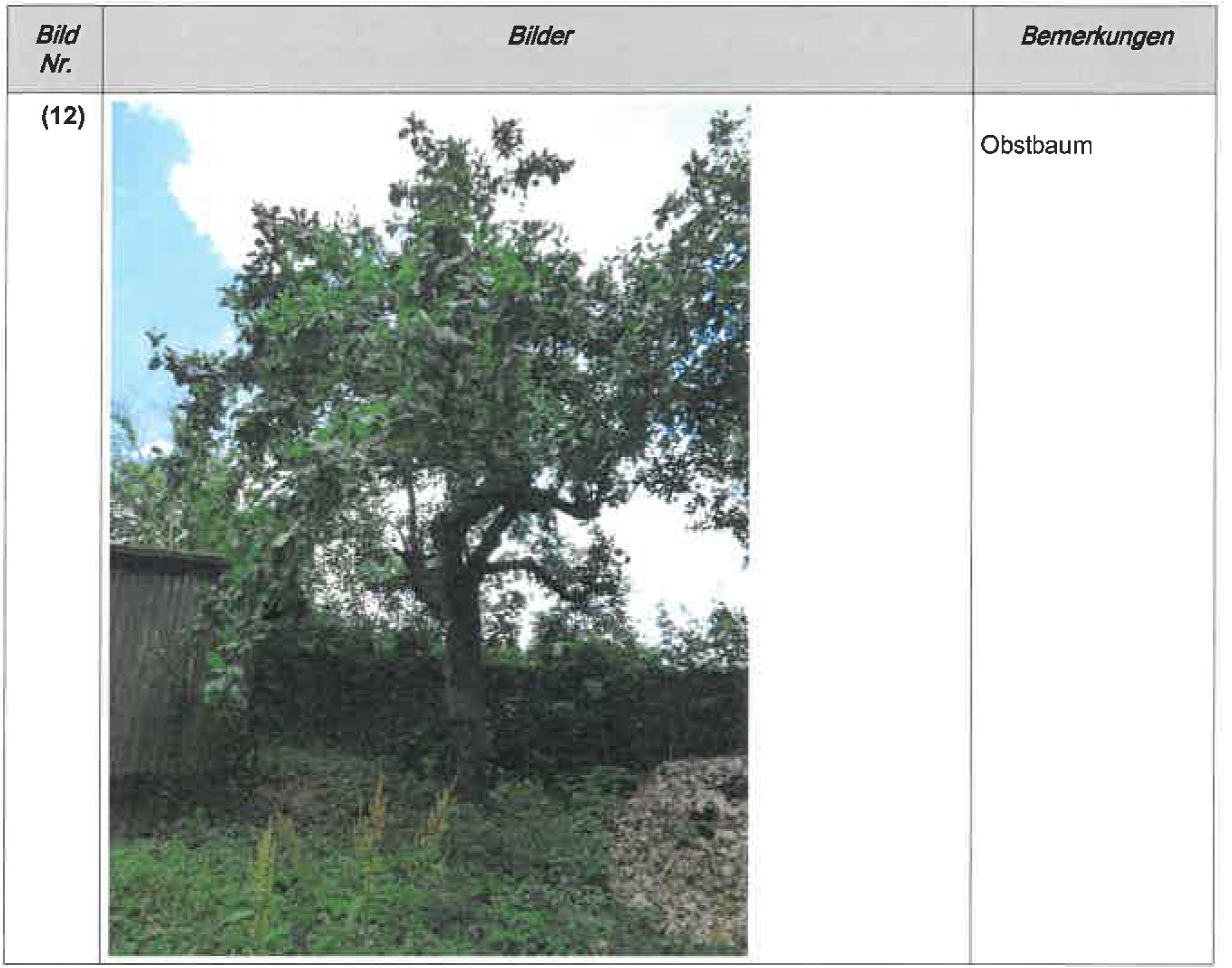 sachsen 0520 K 0214/2023 Saidaer Straße , 01731 Kreischa 7