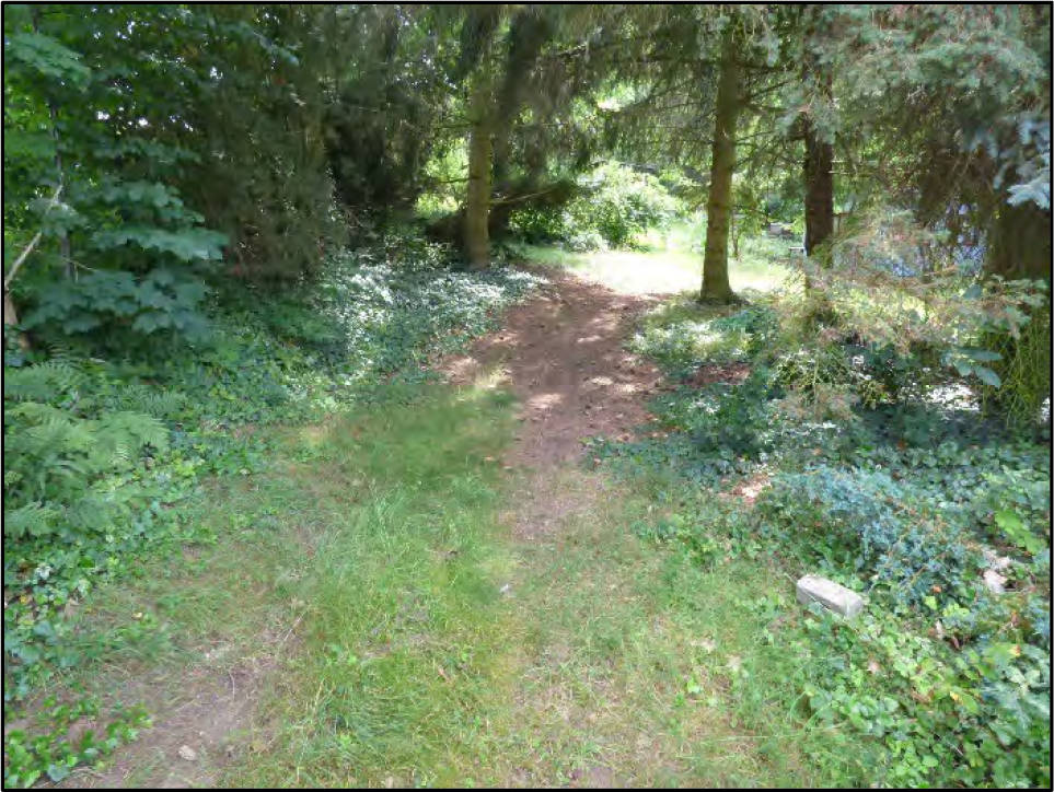 sachsen 0520 K 0214/2023 Saidaer Straße , 01731 Kreischa 6