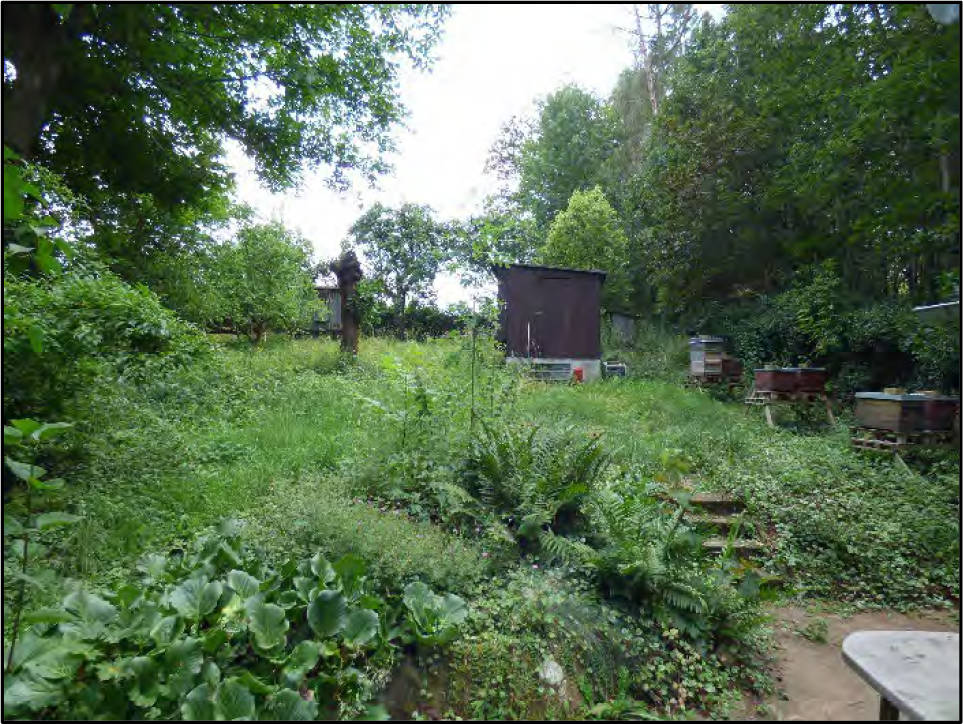 sachsen 0520 K 0214/2023 Saidaer Straße , 01731 Kreischa 8