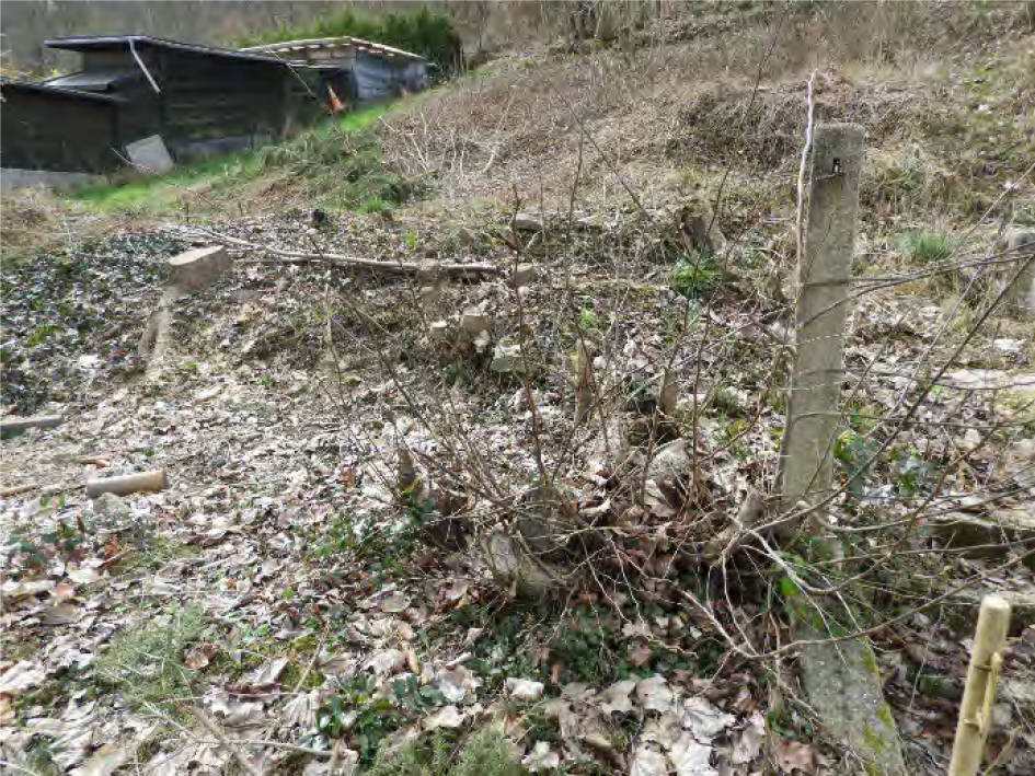 sachsen 0520K0217-2023 Eichholzgasse , 01683 Nossen