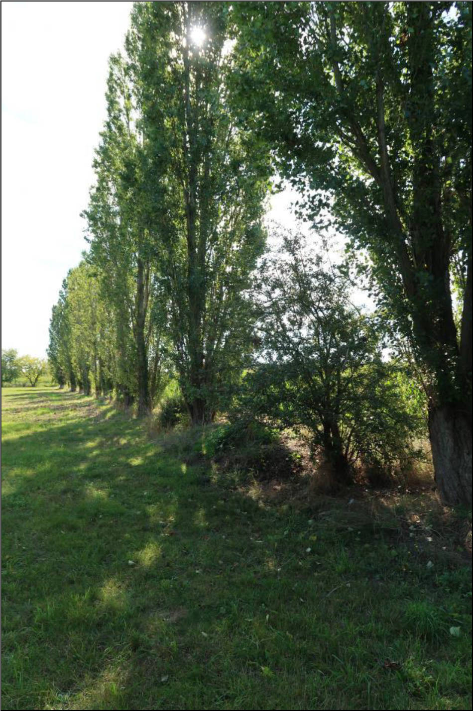 sachsen 0525K0050-2023 -, 01558 Großenhain 8