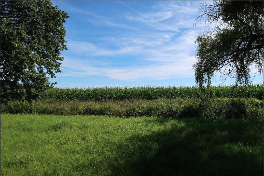 Landwirtschaftsfläche in -, 01558 Großenhain