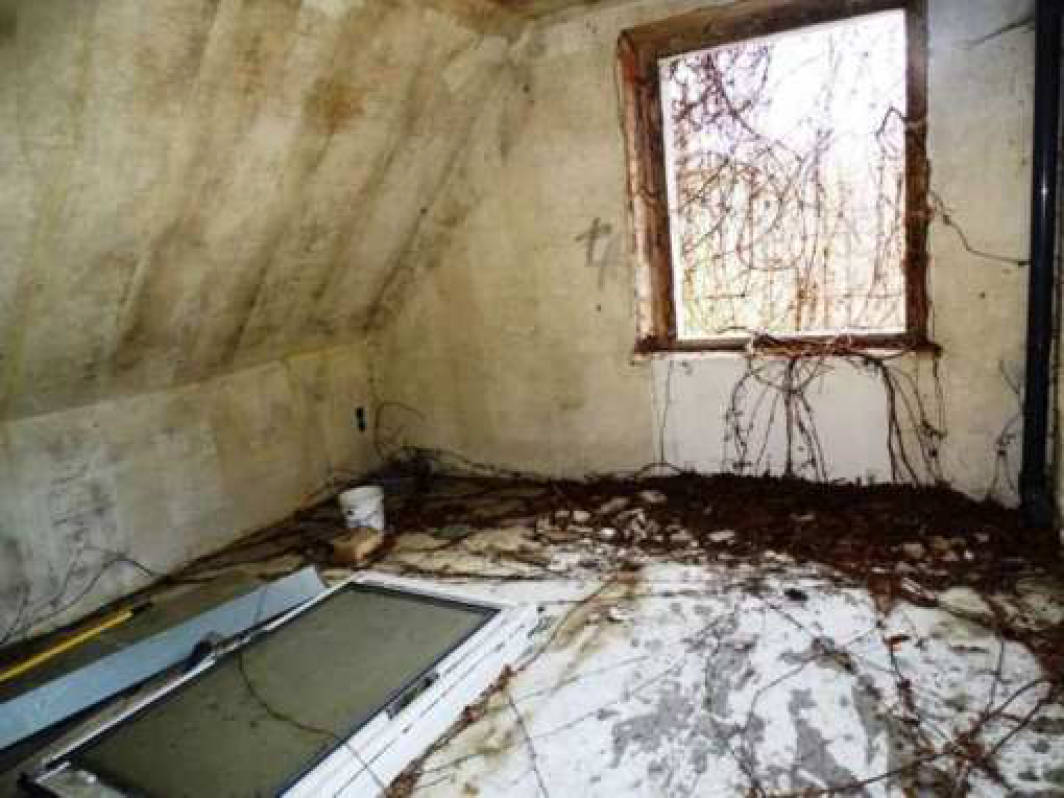 Doppelhaushälfte in Falkensteinstraße 7, 01814 Bad Schandau - Bild 5