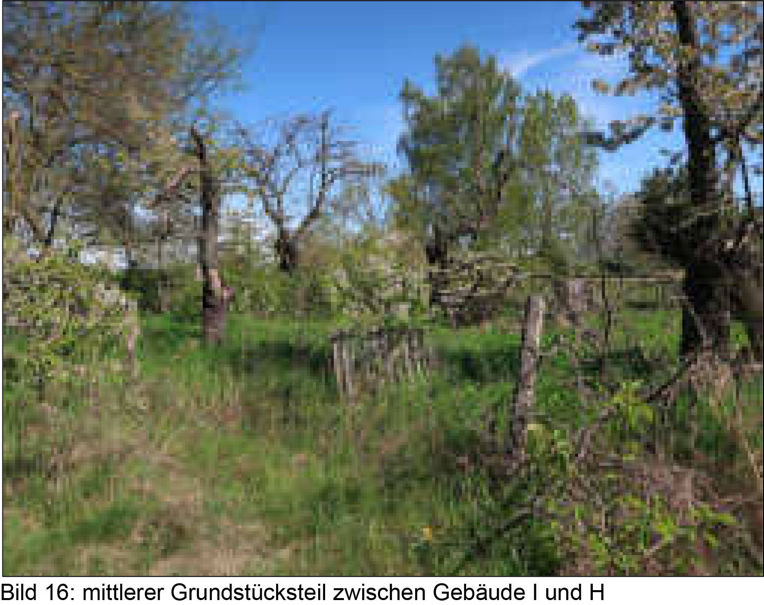 sachsen 0525 K 0079/2022 Seeweg ohne Hausnummer, 01609 Röderaue, Raden 26