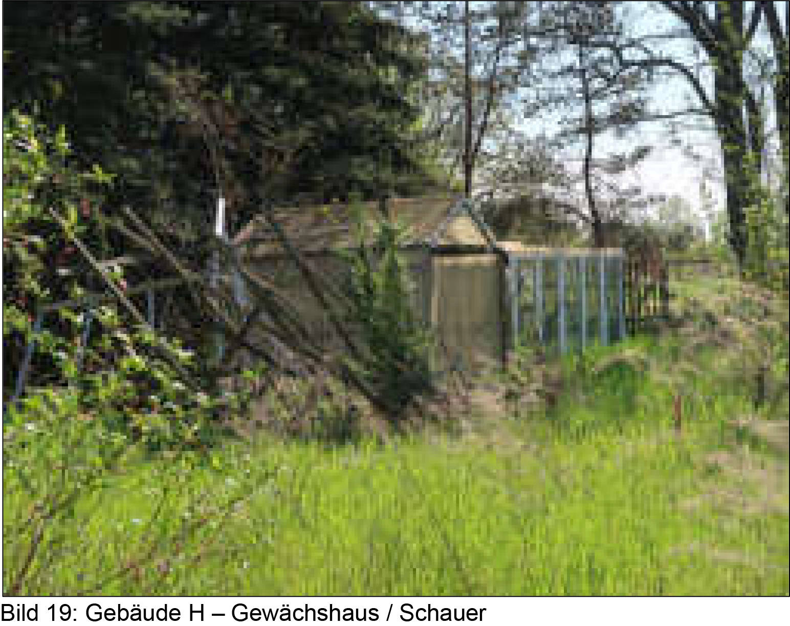 Erholungs-/Wochenendgrundstück in Seeweg ohne Hausnummer, 01609 Röderaue, Raden - Bild 5