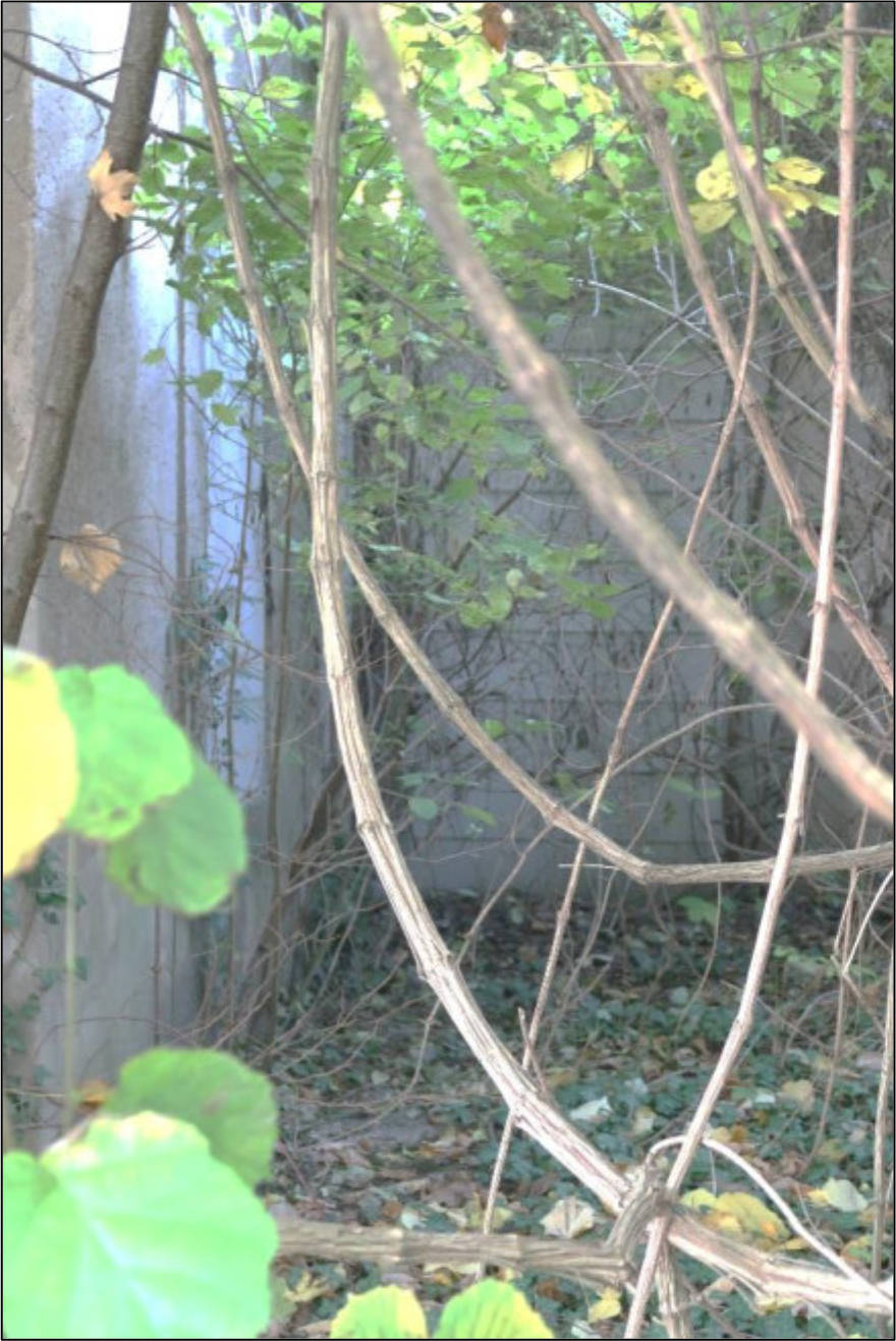 sachsen 0525 K 0081/2024 Drosselgrund 3, 01662 Meißen 10