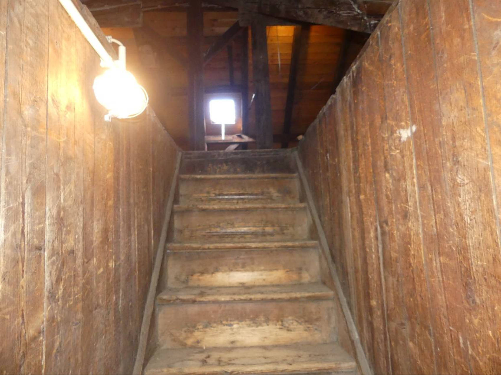 sachsen 0525 K 0082/2023 Tolkewitzer Straße 37, 01277 Dresden 11