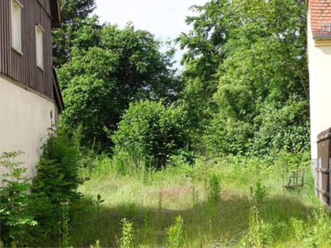 Ein-/Zweifamilienhaus in Alte Moritzburger Straße 7, 01108 Dresden - Bild 2