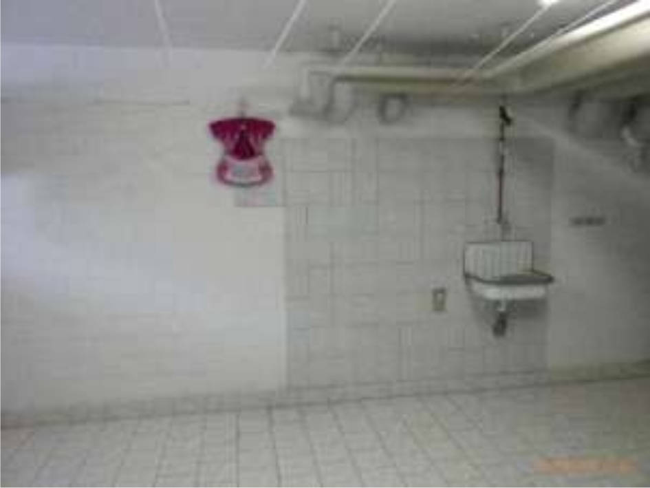 Besonderes Objekt in Breunsdorfer Weg 11, 04552 Borna - Zedtlitz - Bild 5