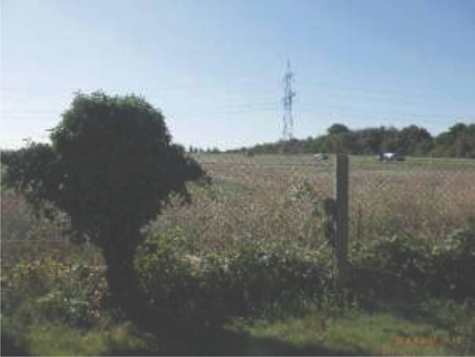 sachsen 456 K 261/24 Luckaer Straße 29, 04539 Groitzsch-Großspriesligk 10
