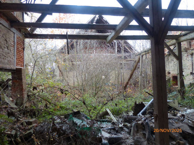sachsen 456 K 71/25 Alte Jeesewitzer Straße 7, 04668 Grimma - Jeesewitz 17
