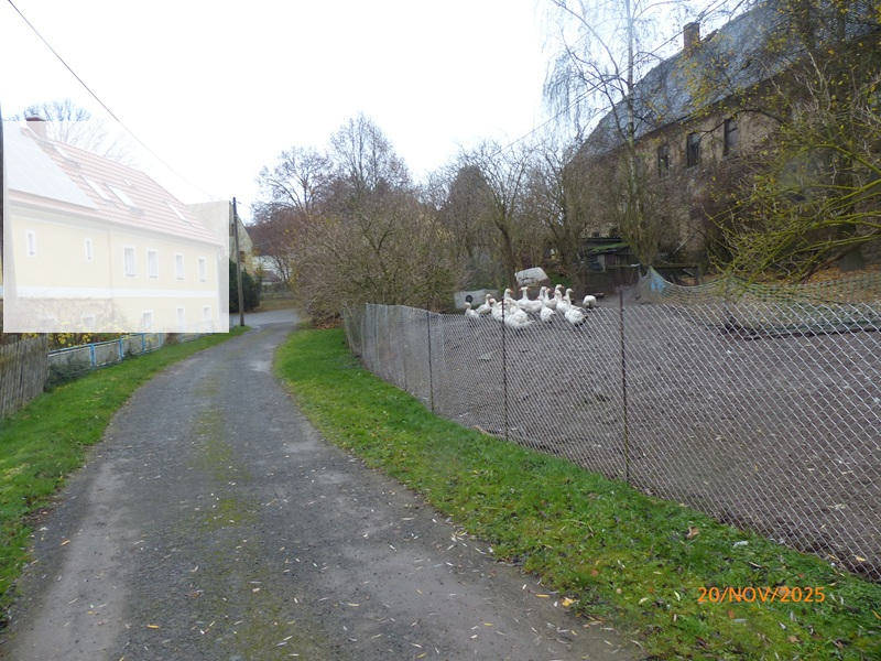 sachsen 456 K 71/25 Alte Jeesewitzer Straße 7, 04668 Grimma - Jeesewitz 21