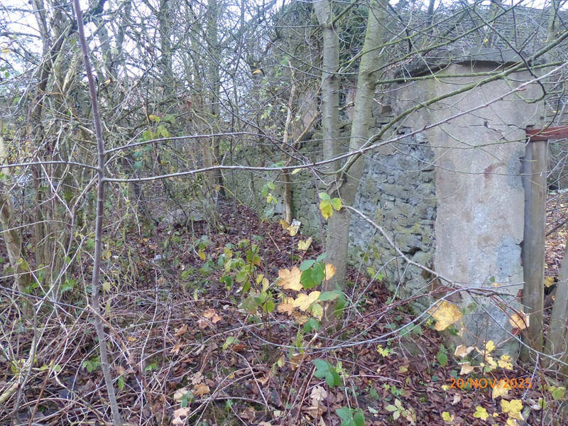 sachsen 456 K 71/25 Alte Jeesewitzer Straße 7, 04668 Grimma - Jeesewitz 11