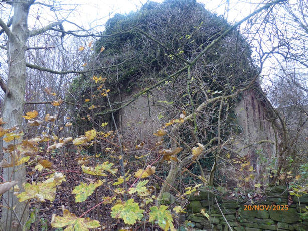 sachsen 456 K 71/25 Alte Jeesewitzer Straße 7, 04668 Grimma - Jeesewitz 6