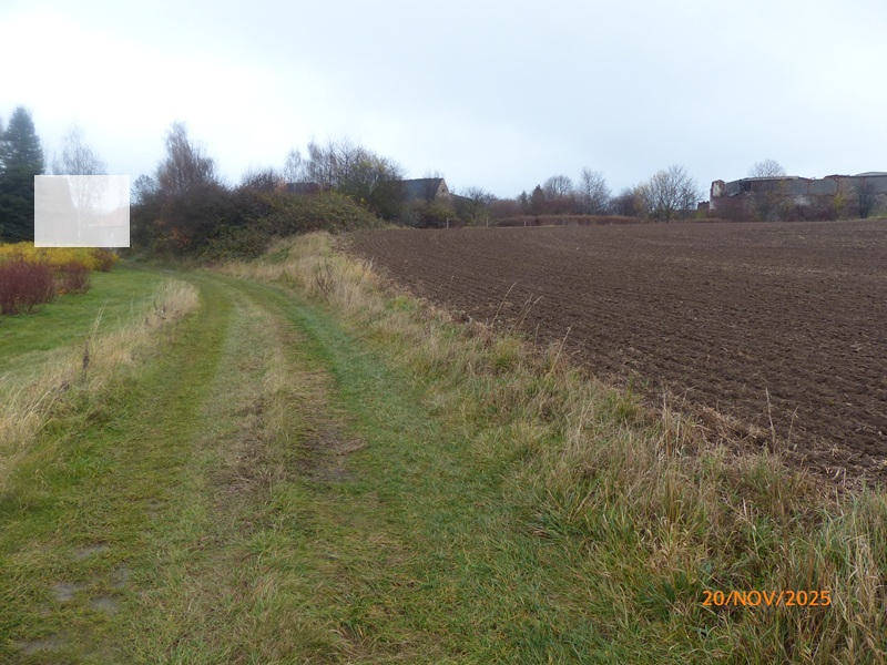sachsen 456 K 71/25 Alte Jeesewitzer Straße 7, 04668 Grimma - Jeesewitz 9