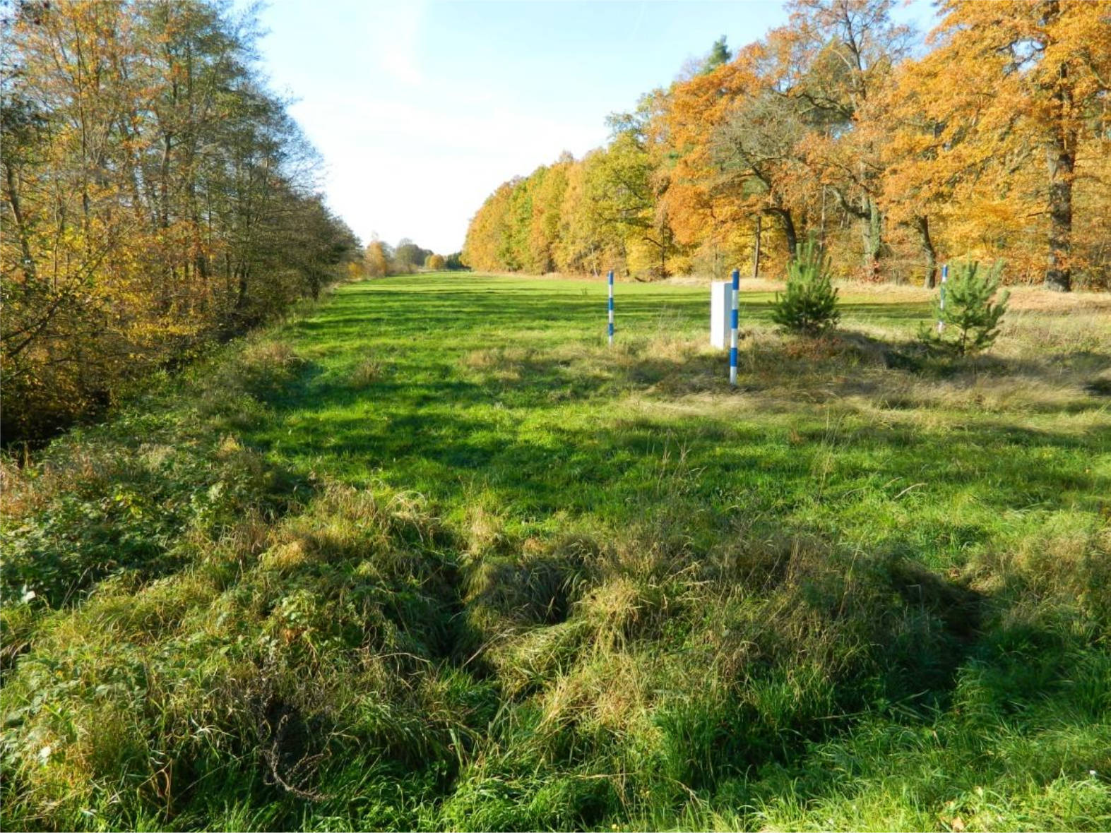 sachsen 467 K 123/26 Weidenhainer Straße 2, 04862 Mockrehna 8